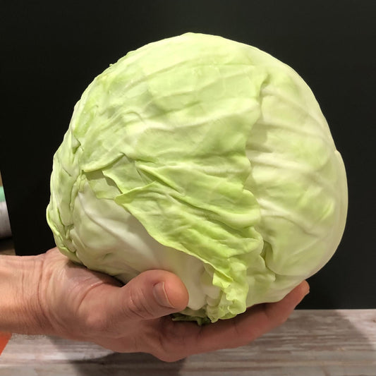 The incredible cabbage leaf
