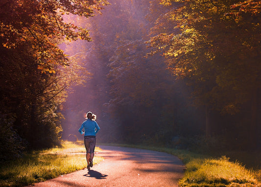 Image by Melk Hagelslag from Pixabay
