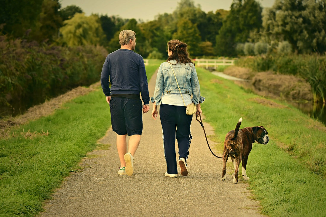 Picture by MabelAmber from Pixabay--Couple walking with dog